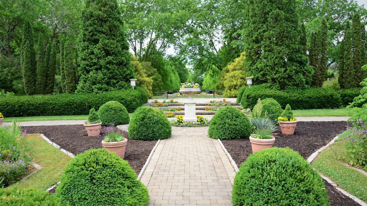 Jardin avant restructuration — arbres denses non structurés